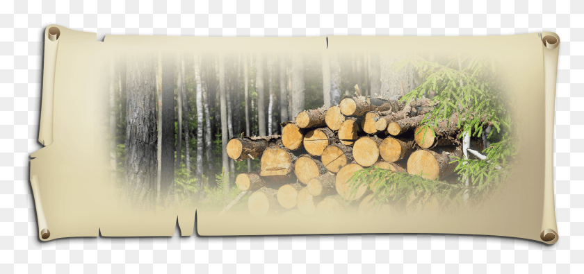 2089x899 Wood Bullet Hole Lumber HD PNG Download