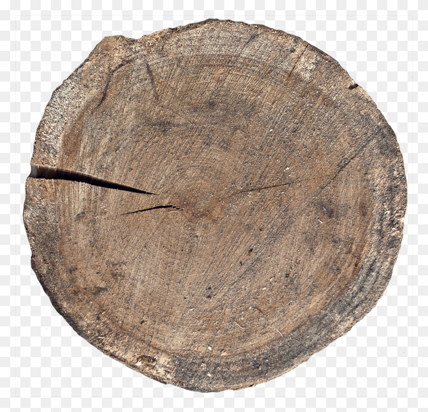 1088x1044 Wood End 15 Circle, Rug, Tree, Plant HD PNG Download