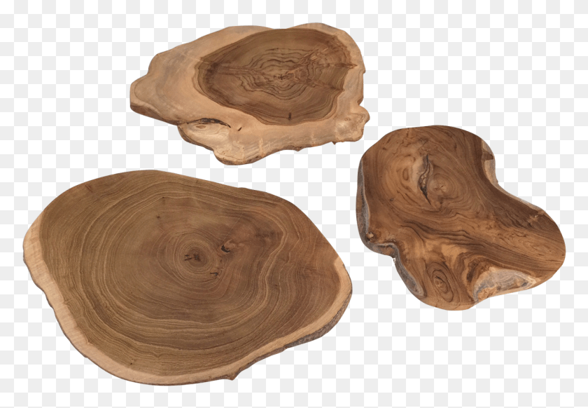 1226x821 Wood Scape SliceData Rimg LazyData Rimg Scale Teak Tree Slice, Tabletop, Furniture, Tree Stump HD PNG Download