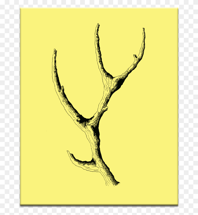 682x849 Иллюстрация Деревянного Рога, Птица, Животное, Змея Hd Png Скачать