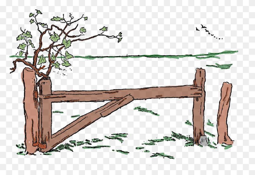 1536x1018 Wooden Fence Illustration Lumber, Insect, Invertebrate, Animal HD PNG Download