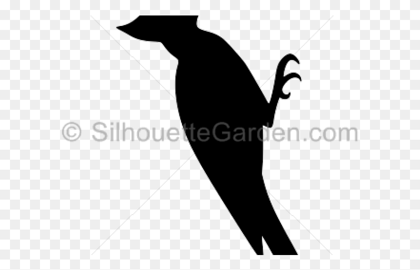 595x481 Woodpecker Clipart Dead Ford Expedition Air Suspension Compressor, Mammal, Animal, Cat HD PNG Download