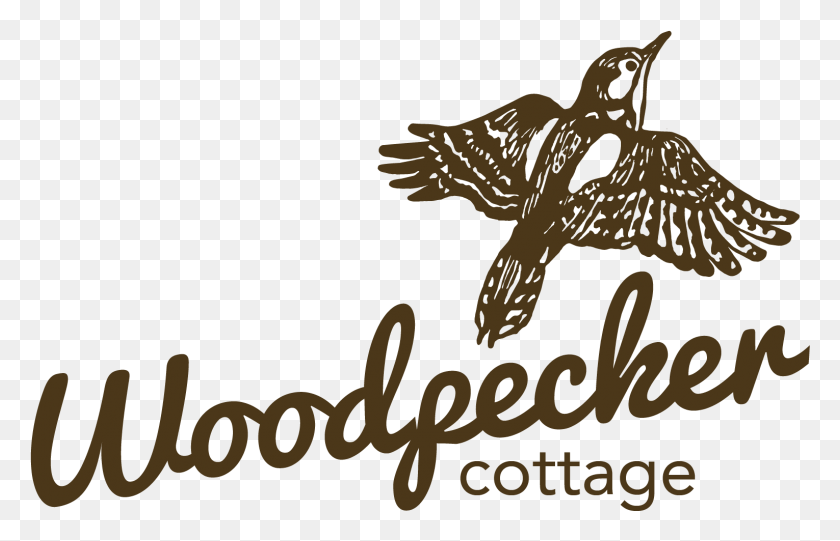 1530x945 Woodpecker Cottage Illustration, Dinosaur, Reptile, Animal HD PNG Download