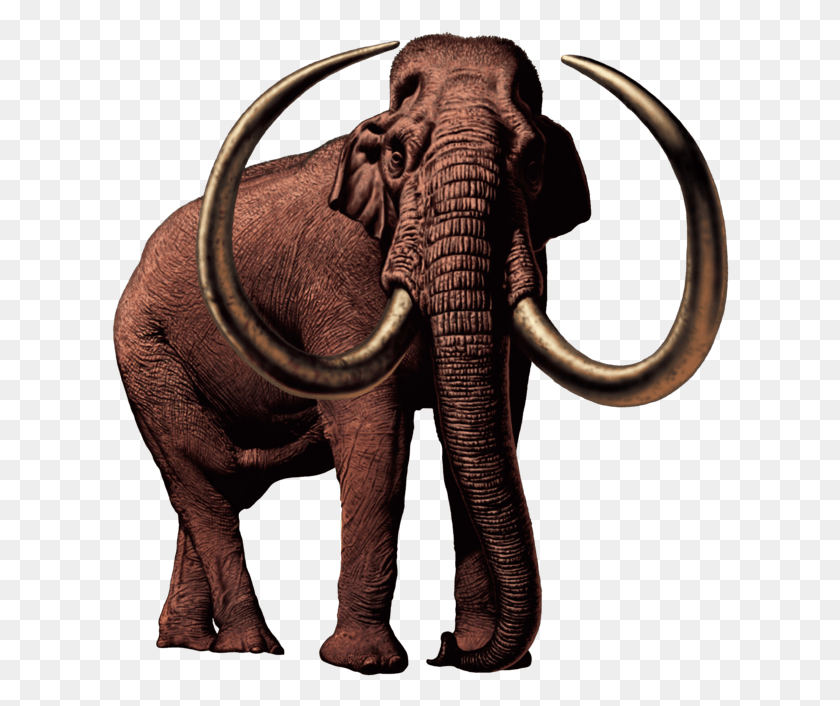 618x646 Wooly And Dinosaur Mammuthus Meridionalis, Elephant, Wildlife, Mammal HD PNG Download