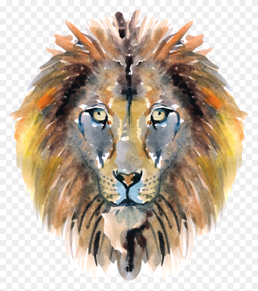 985x1120 World Book Day Masai Lion, Wildlife, Mammal, Animal HD PNG Download