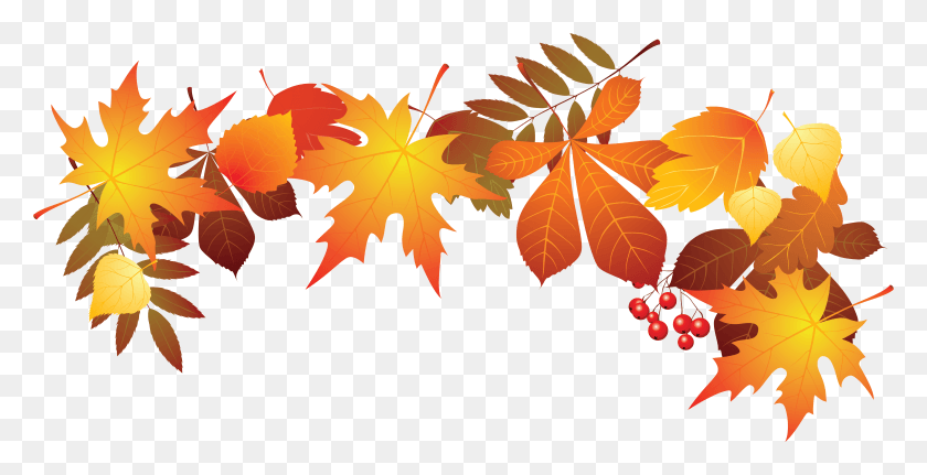 6513x3102 Всемирный День Учителя Лист Осень, Растение, Кленовый Лист, Дерево Hd Png Скачать