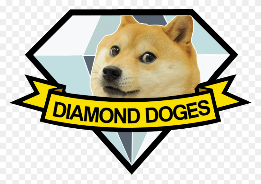 800x546 Wow Diamond Doges Diamond Dogs, Pet, Animal, Canine HD PNG Download