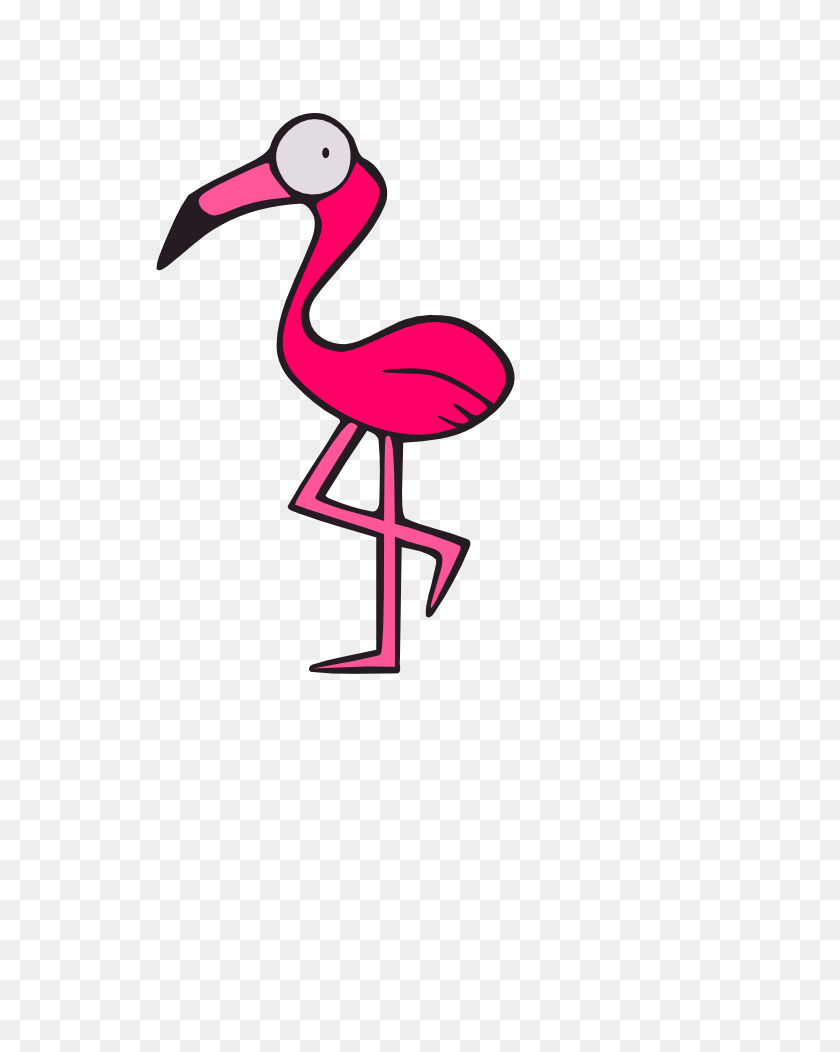 744x1052 Wpc, Animal, Bird, Flamingo Clipart PNG