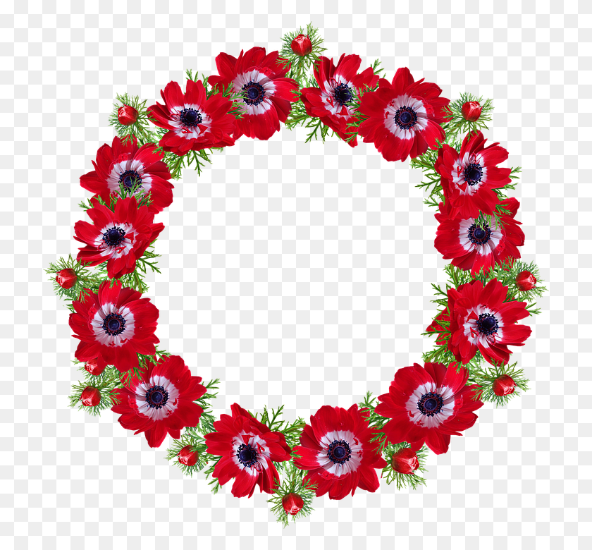 718x720 Wreath Border Anemone Flowers Decorative De Rosas Rojas, Floral Design, Pattern, Graphics Descargar Hd Png