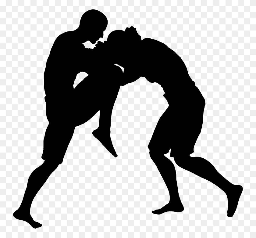 755x720 Wrestling Tips Of Martial Arts, Person, Human HD PNG Download