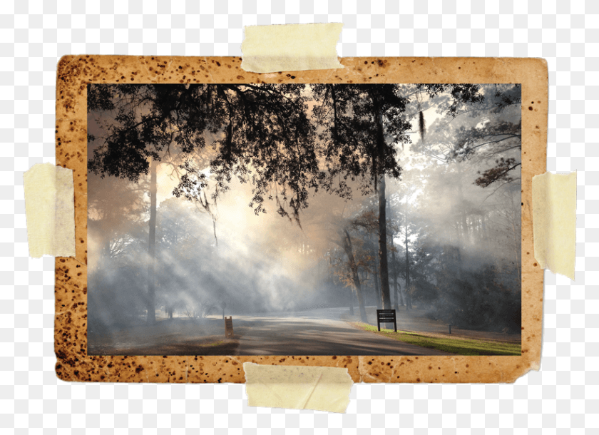 820x579 Written By Justin Hardy Picture Frame, Nature, Weather, Outdoors HD PNG Download
