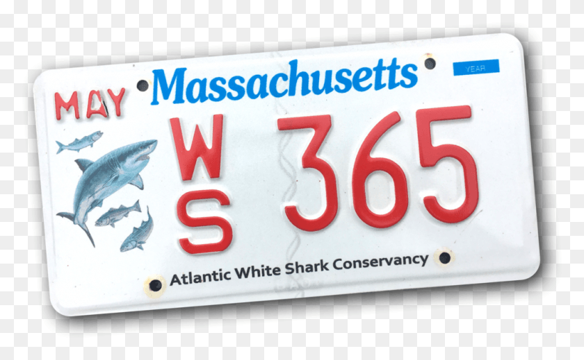 1000x589 Ws Plate Mass White Shark Plates, Vehicle, Transportation, License Plate HD PNG Download