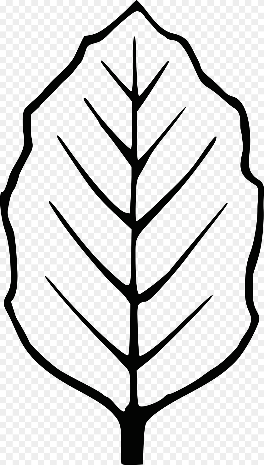Wunderbar Vorlagen, Leaf, Plant, Outdoors Sticker PNG