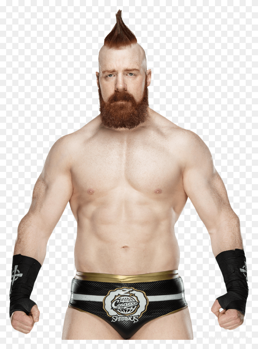 796x1100 Wwe Sheamus Render 2018, Face, Person, Human HD PNG Download