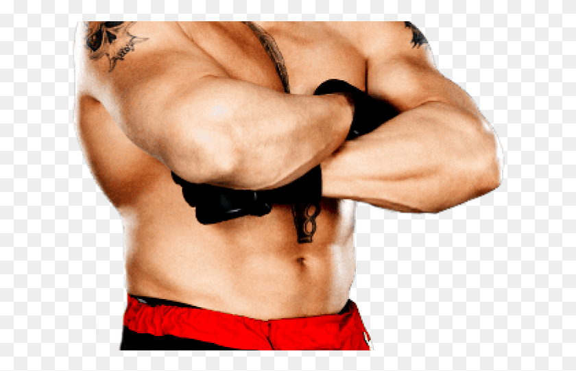 632x481 Wwe Superstar Brock Lesnar 2016, Arm, Person, Human HD PNG Download