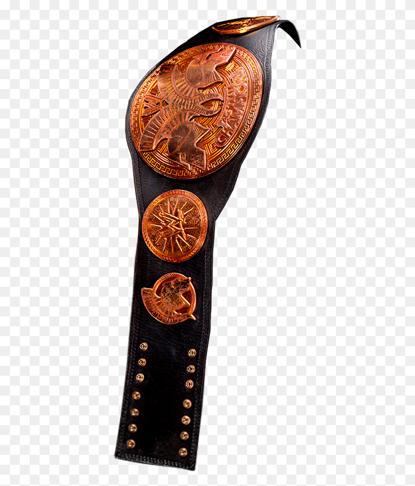 381x923 Wwe Tag Team Championship Tag Team Champion, Wristwatch, Coin, Money HD PNG Download
