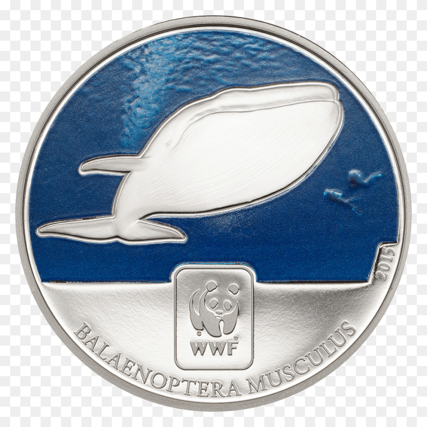 910x910 Wwf Blue Whale Ballena Con Monedas, Logo, Symbol, Trademark HD PNG Download