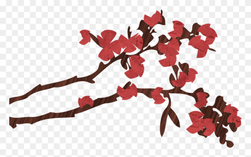 796x476 Wwis Yoga Cherry Blossom Приглашение На Класс Йоги, Лист, Растение, Лепесток Hd Png Скачать