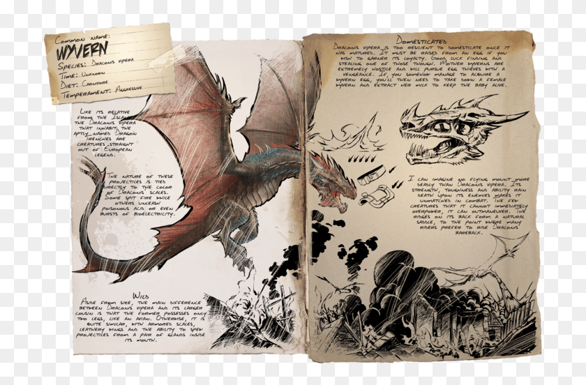 717x492 Wyvern Dragon Ark Scorched Earth, Text, Bird, Animal HD PNG Download