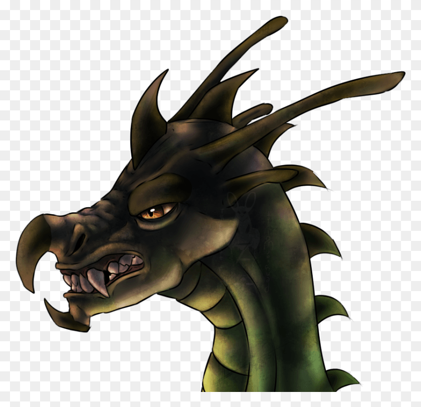 834x804 Wyvern Headdoodle Dragon HD PNG Download