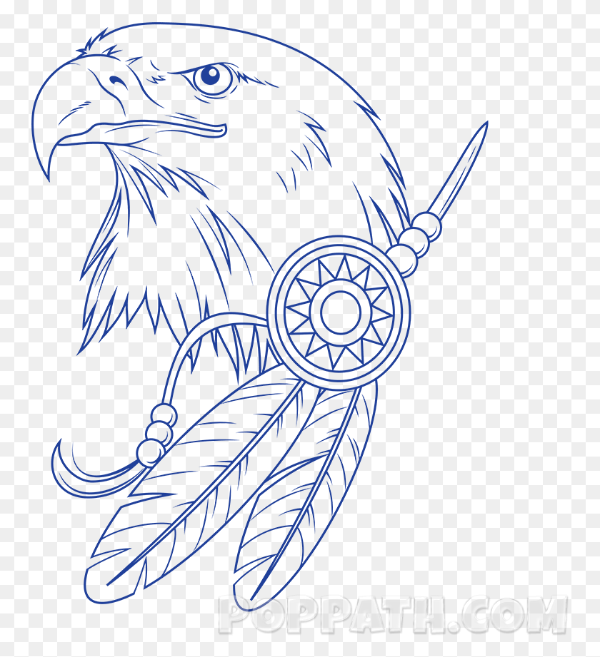 754x861 X 1000 19 Sketch, Eagle, Bird, Animal HD PNG Download