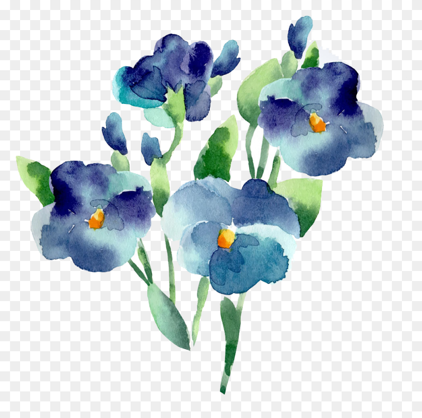 969x961 X 1024 3 0 Акварельный Цветок Синий, Ирис, Растение, Цветение Hd Png Скачать
