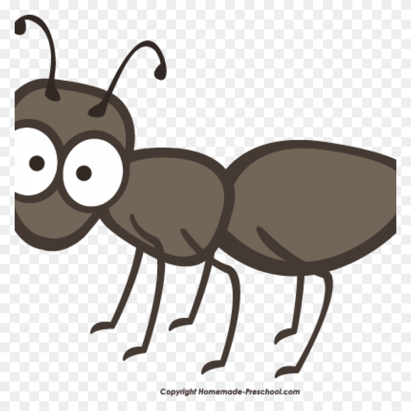 1024x1024 X 1024 3 Ant Clip Art Black And White, Insect, Invertebrate, Animal HD PNG Download