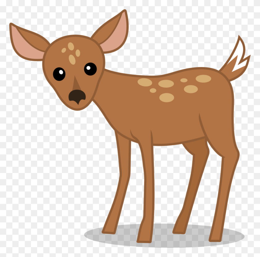 1034x1024 X 1024 6 Transparent Background Deer Clipart, Animal, Mammal, Kangaroo HD PNG Download