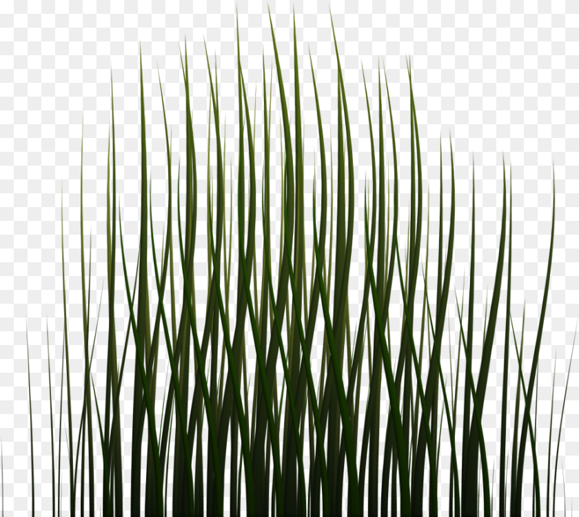 919x819 X 1024 Grass Game Texture, Plant, Green, Vegetation, Reed Clipart PNG