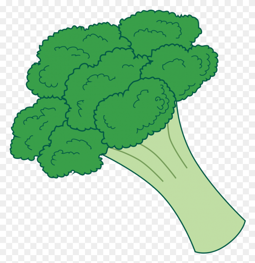 834x862 X 1035 6 Broccoli Clipart, Plant, Vegetable, Food HD PNG Download