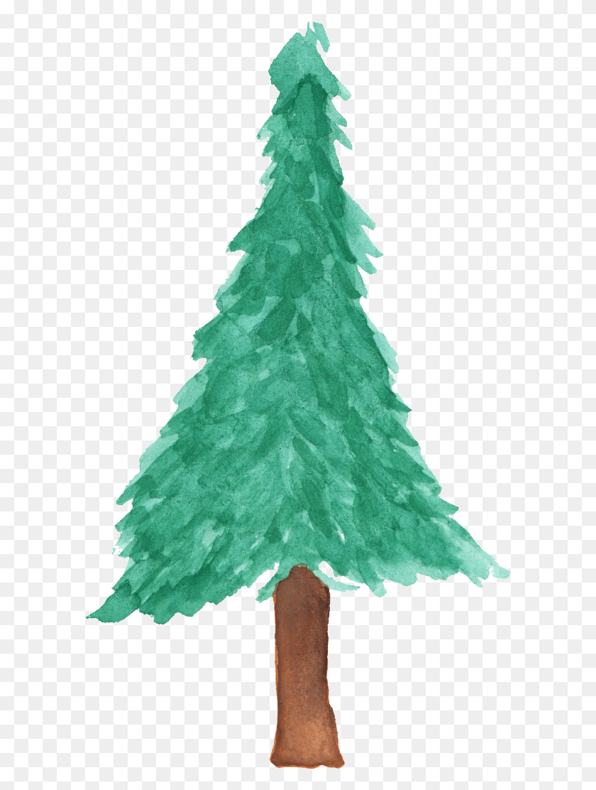 600x1052 X 1052 3 Water Color Christmas Tree, Tree, Plant, Ornament HD PNG Download