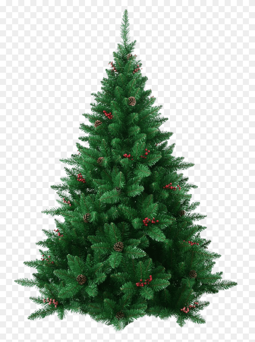 748x1068 X 1068, Christmas Tree, Tree, Ornament HD PNG Download