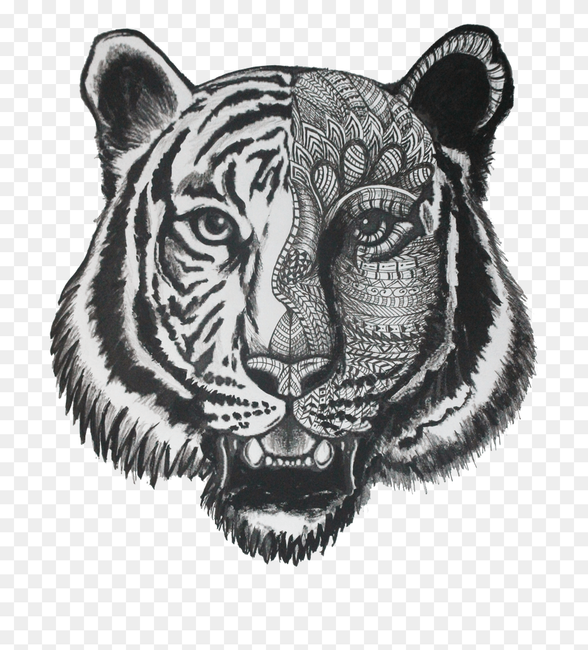 704x868 X 1095 8 Zentangle Tiger, Doodle HD PNG Download