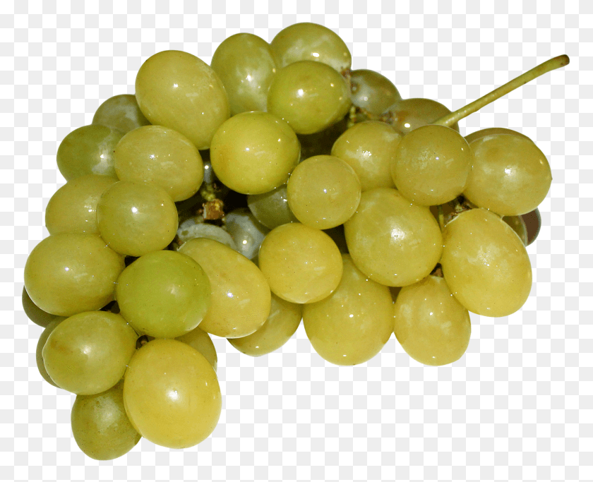 1264x1011 X 1118 Grape, Plant, Grapes, Fruit HD PNG Download