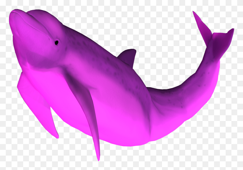 1250x850 X 1121 2 0 Розовый Дельфин, Морская Жизнь, Животное, Млекопитающее Hd Png Скачать
