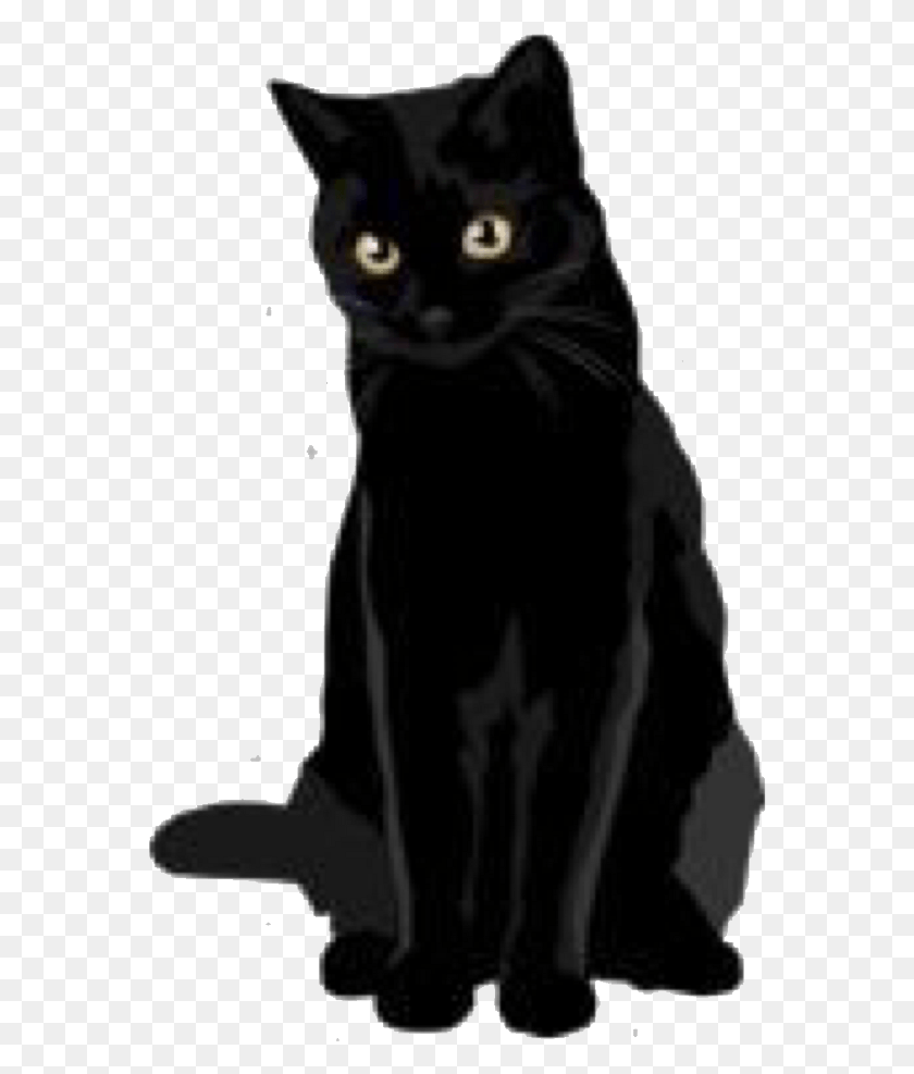 568x927 X 1121 4 0 0 Наклейки Кошка, Черная Кошка, Домашнее Животное, Млекопитающее Hd Png Скачать