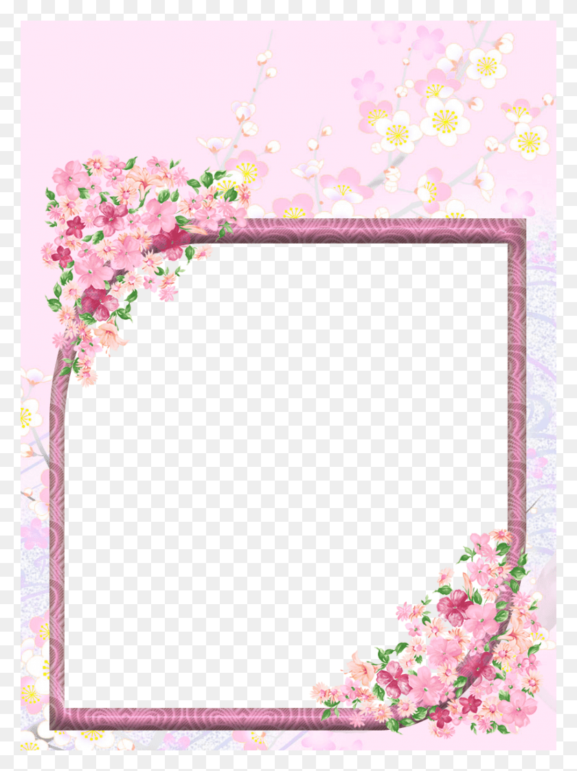 855x1166 X 1166 8 Prayers For A Blessed Wednesday, Plant, Graphics HD PNG Download