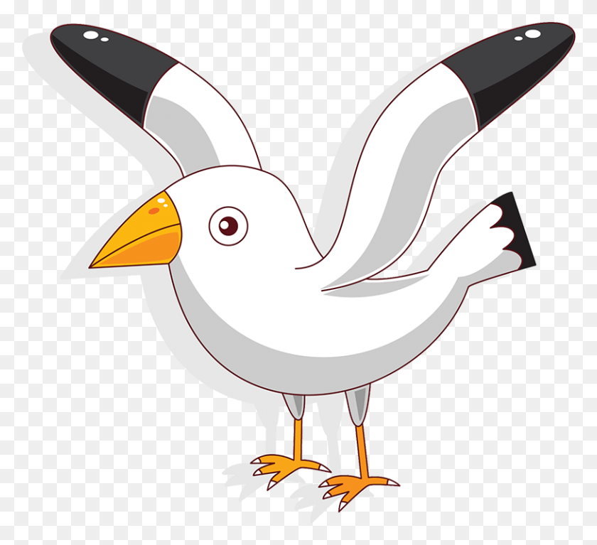 813x737 X 1200 6 Cartoon Sea Bird, Animal, Beak, Puffin HD PNG Download