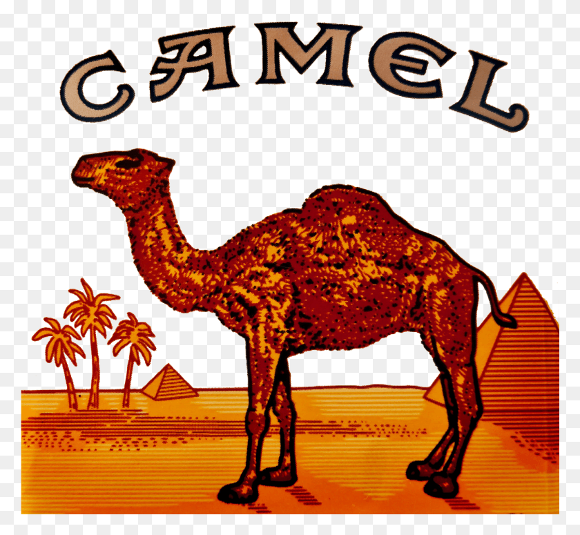 1281x1175 X 1204 4 Camel Cigarettes, Mammal, Animal, Dinosaur HD PNG Download