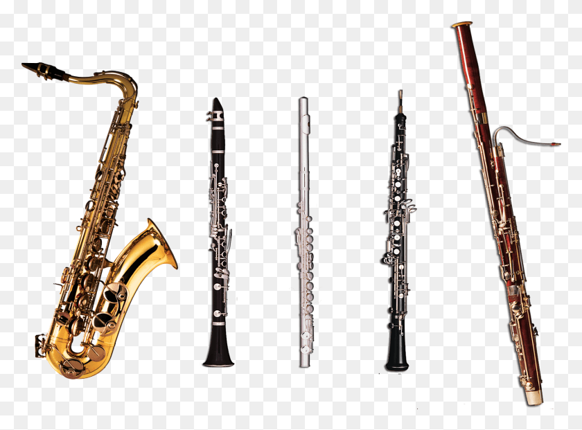 1673x1205 X 1217 14 Woodwind Instruments, Oboe, Musical Instrument, Clarinet HD PNG Download