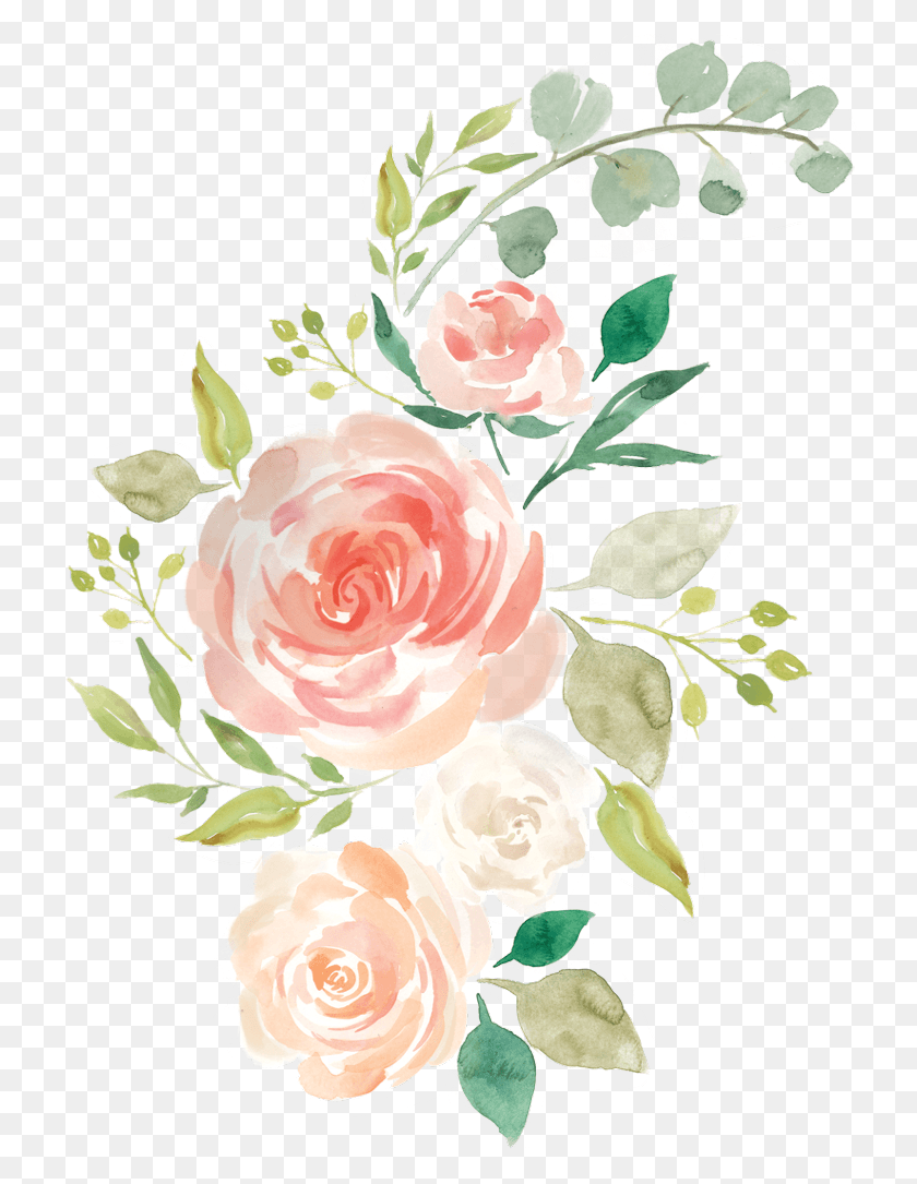 739x1025 X 1280 32 Hand Drawn Flowers, Plant, Rose, Flower HD PNG Download