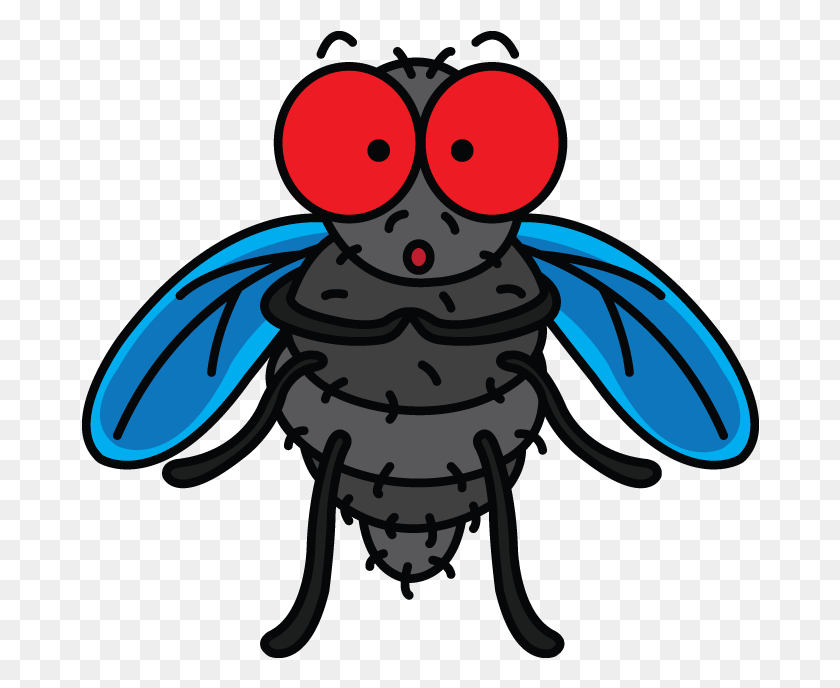 678x628 X 1280 Drawing A Fly, Insect, Invertebrate, Animal HD PNG Download