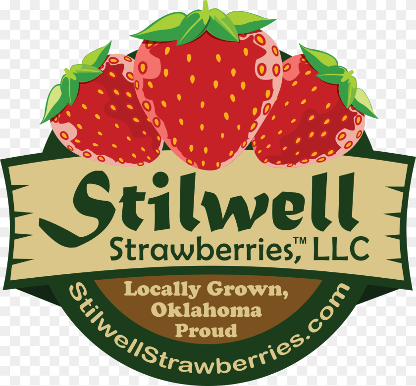 X 1366 1 They Called Me Gingerbread, Berry, Food, Fruit, Plant Sticker PNG