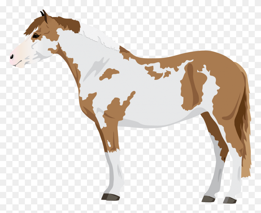 1281x1033 X 1400 7 Грива, Жеребенок Лошадь, Лошадь, Млекопитающее Hd Png Скачать