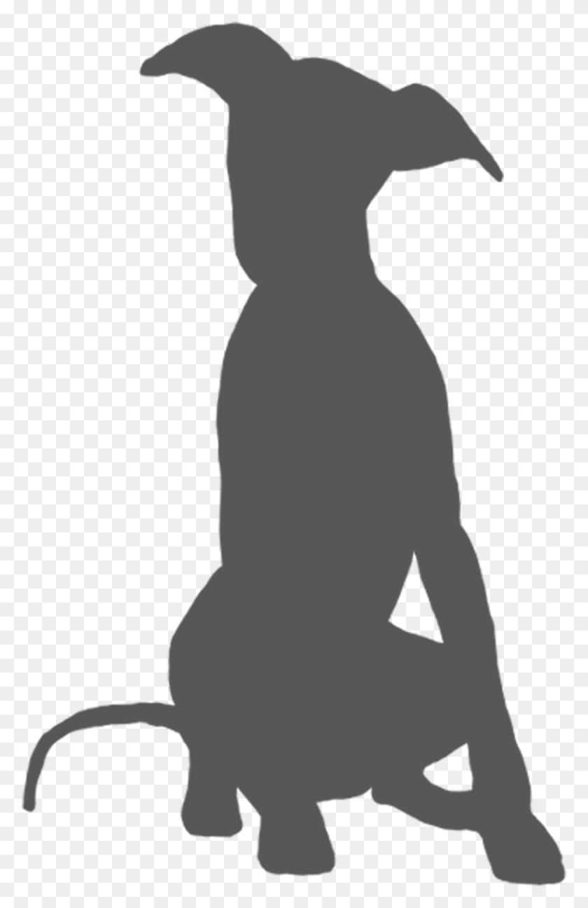 830x1316 X 1500 13 Silhouette, Person, Human, Kneeling HD PNG Download