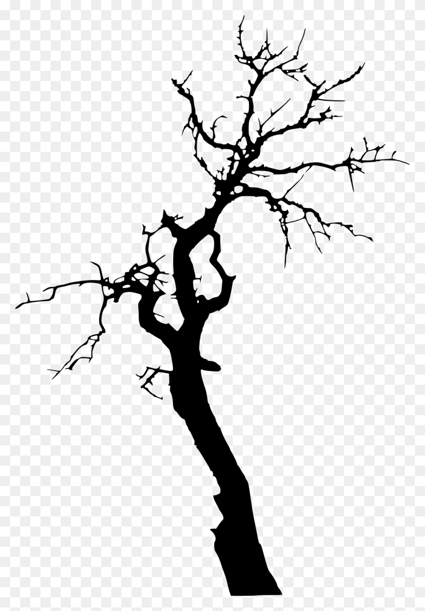 1020x1500 X 1500 9 Black Dead Tree, Растение, Трафарет Hd Png Скачать
