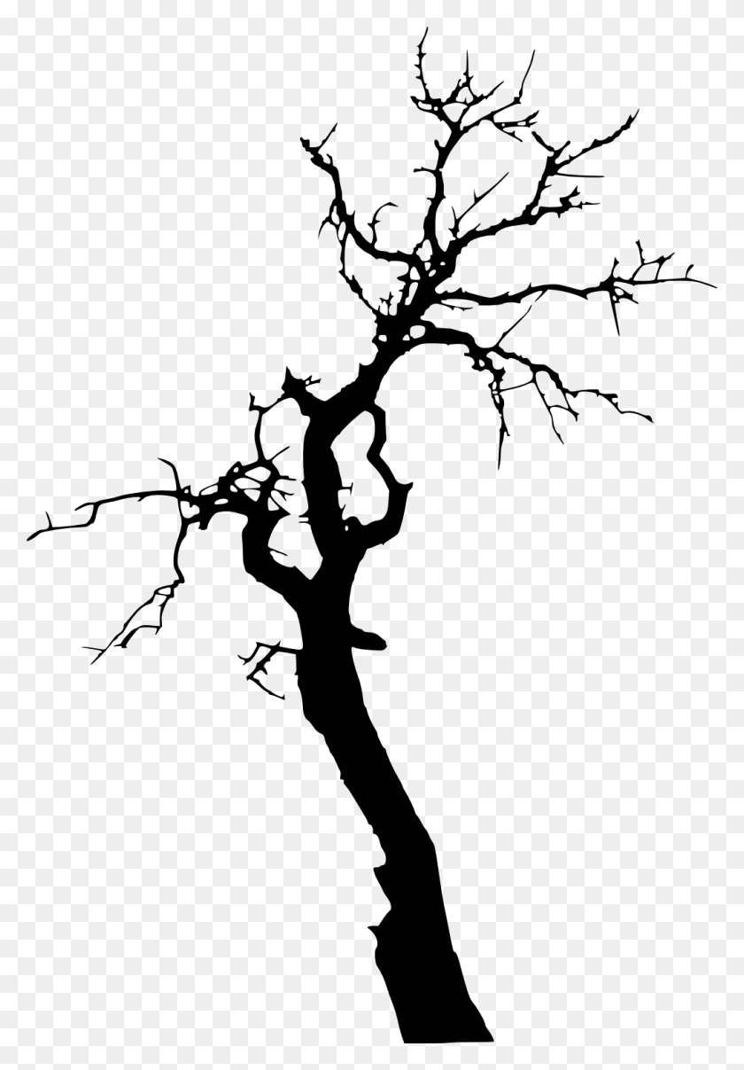 1020x1500 X 1500 9 Black Dead Tree, Plant, Stencil HD PNG Download