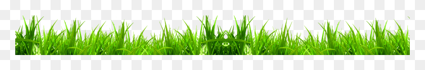 5483x567 X 1500 9 Sweet Grass HD PNG Download