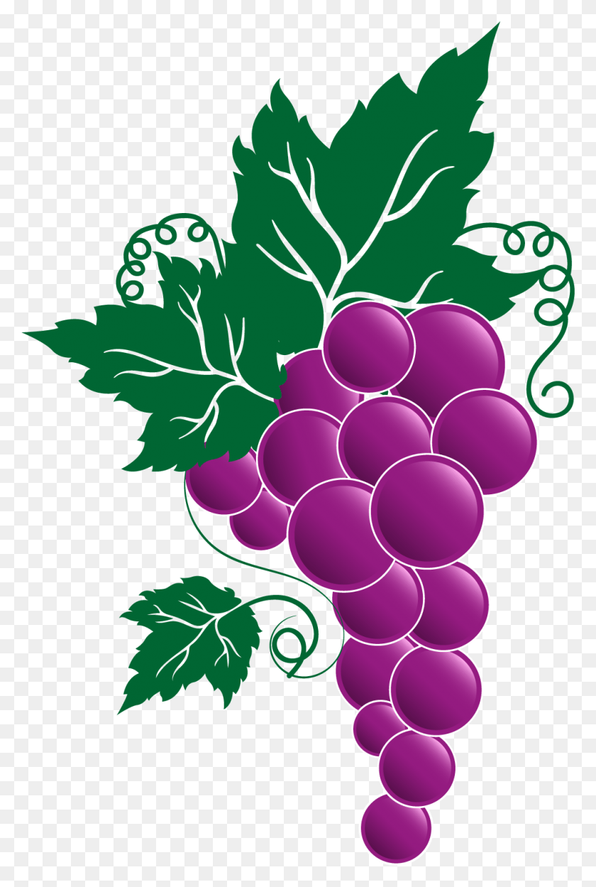 1002x1528 X 1528 7 Festa Dell Uva Broni, Grapes, Fruit, Plant HD PNG Download