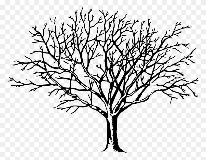 2092x1588 X 1588 4 Free Tree Clip Art Blanco Y Negro, Gris, World Of Warcraft Hd Png